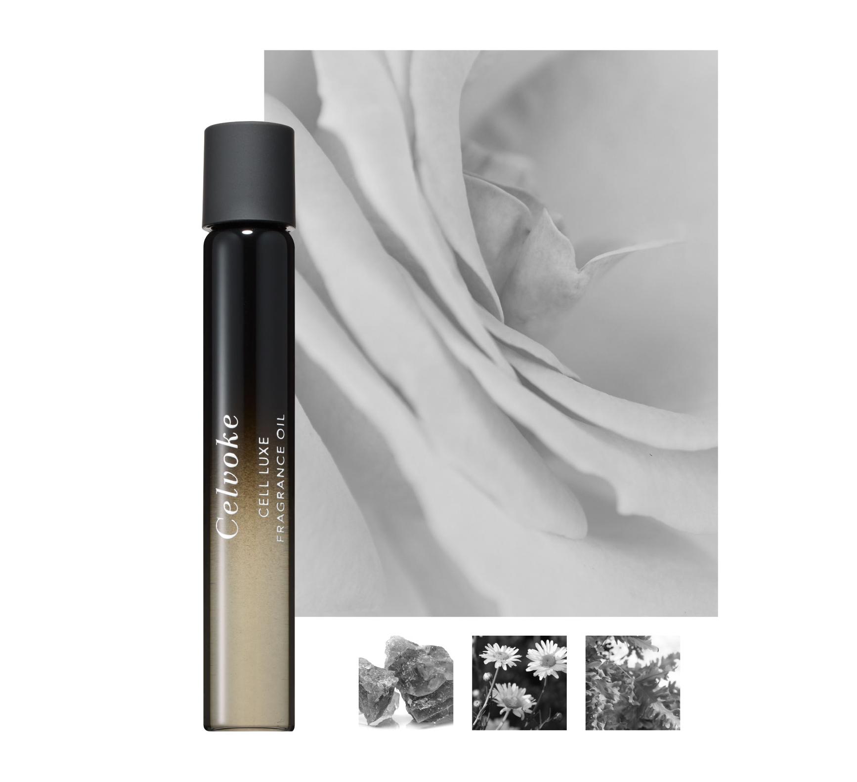 Celvoke マルチブラシ A Celvoke】マルチ ブラシ A ｜Celvoke Website｜セルヴォーク